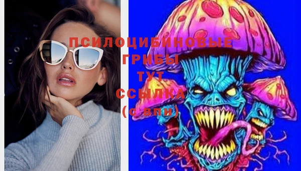 прущий лед Лихославль