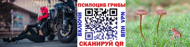 Галлюциногенные грибы Magic Shrooms  blacksprut ссылка  Шахунья 